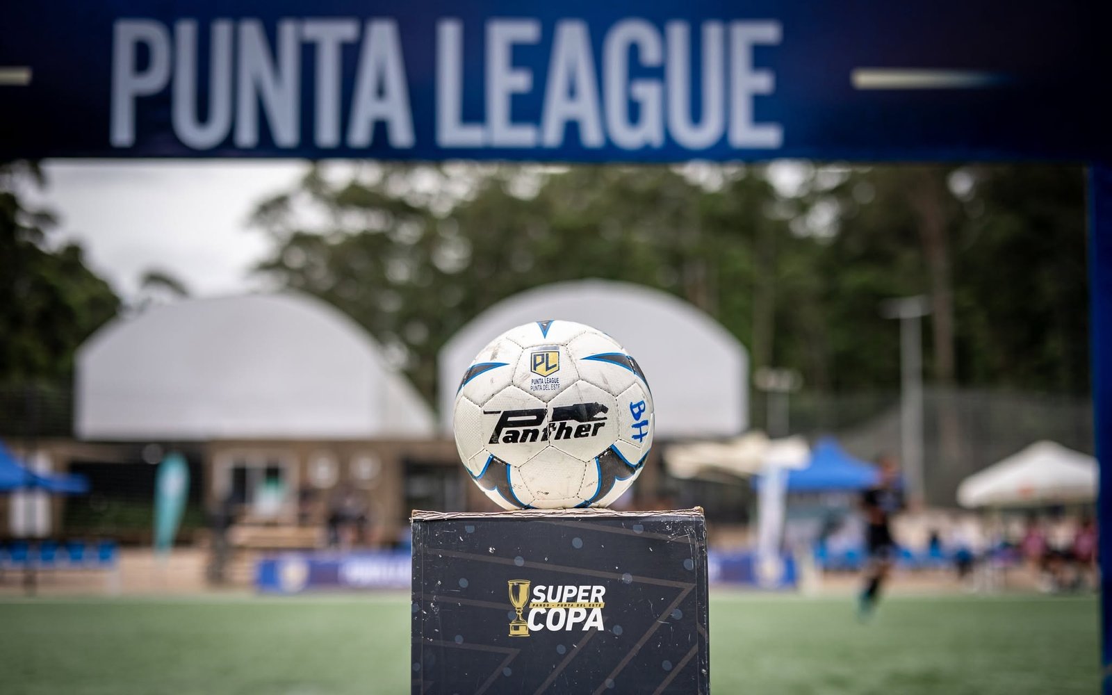 La pelota oficial